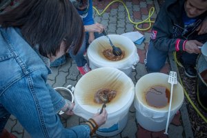 Fotó: Kondor Tamás