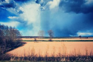 Fotó: Kondor Tamás